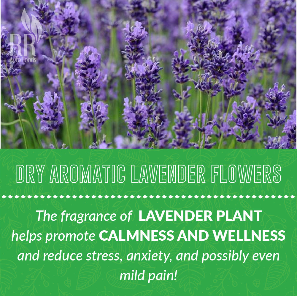 Lavender Flower | Herbal Tea | Promotes Relaxation | Good for Hair and Skin | from Kashmir