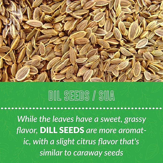 RR AGRO FOODS Premium SUA Seeds,(Dill Seeds/Shata pushpa/Saluka)